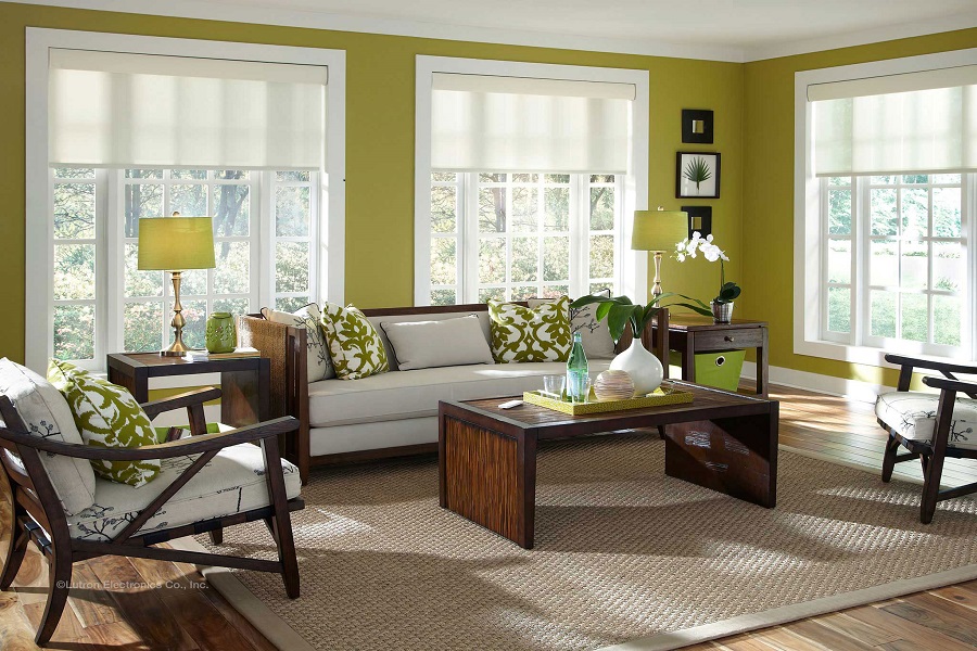 Elevate Your Living Spaces with Motorized Shades 